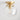 Ryttenberg (Clear) | Flush