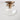 Mulberry (Clear) | Flush